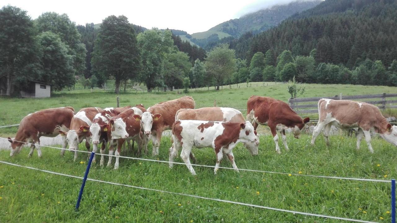Willa Schiessling Hof Oberndorf in Tirol Zewnętrze zdjęcie