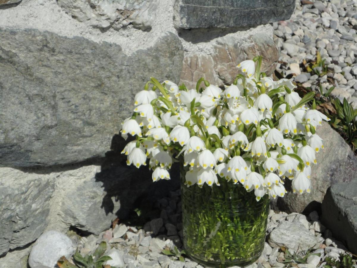 Willa Schiessling Hof Oberndorf in Tirol Zewnętrze zdjęcie