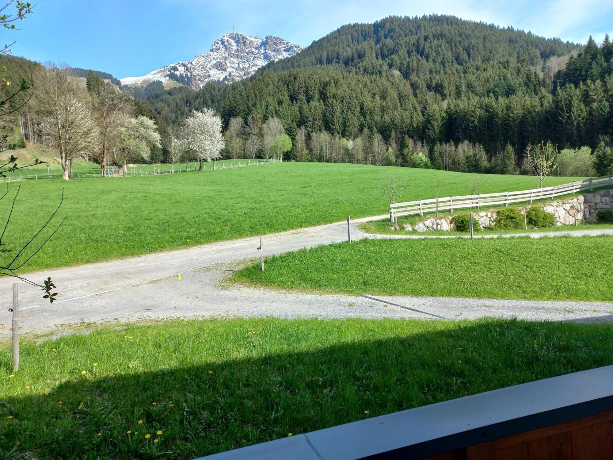 Willa Schiessling Hof Oberndorf in Tirol Zewnętrze zdjęcie